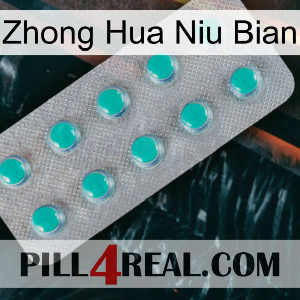 Zhong Hua Niu Bian 28